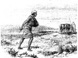 Sower, sowing seed, walking behind a plough